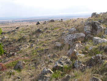 basalt field